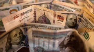 تأثير مراجعات صندوق النقد على الجنيه المصري والدولار يتجلى بوضوح